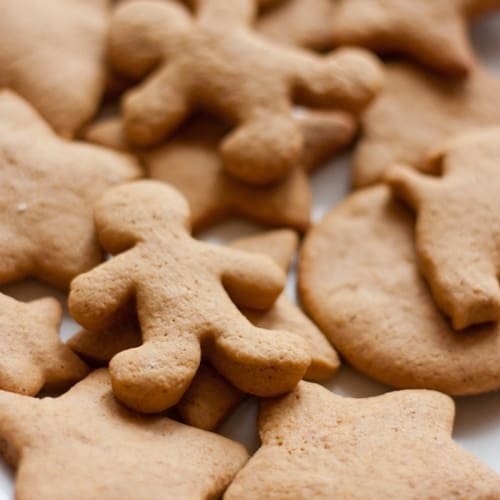 The Flavor Apprentice - Gingerbread