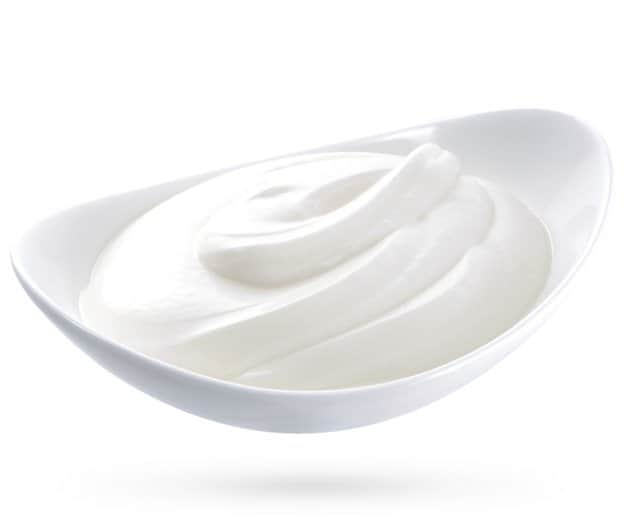 The Flavor Apprentice - Greek Yogurt
