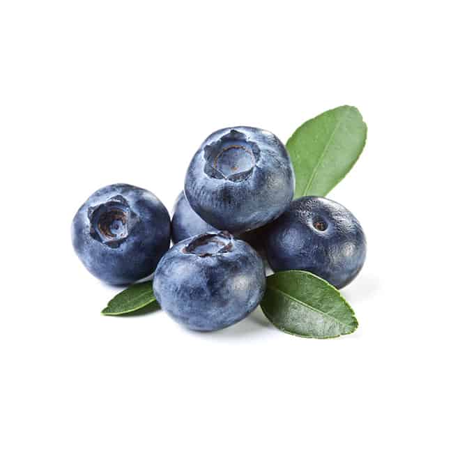 The Flavor Apprentice - Huckleberry