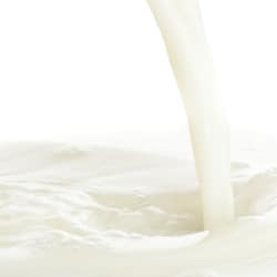 The Flavor Apprentice - Malted Milk