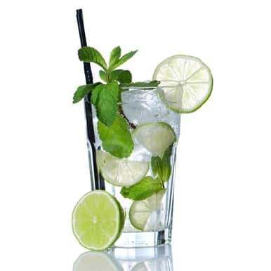 The Flavor Apprentice - Mojito Havanna