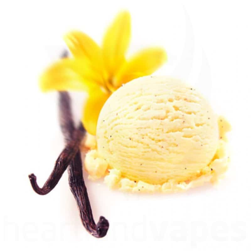 The Flavor Apprentice - Vanilla Bean Gelato